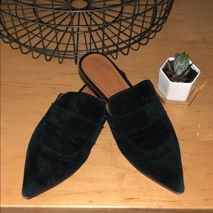 Franco Sarto Mules